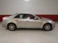 Light Platinum - CTS Sedan Photo No. 3
