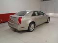 Light Platinum - CTS Sedan Photo No. 4