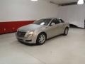 Light Platinum - CTS Sedan Photo No. 8