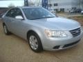 Radiant Silver - Sonata GLS Photo No. 7