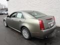 Tuscan Bronze ChromaFlair - CTS 3.0 Sedan Photo No. 6