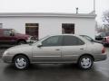 Bronze Shimmer Metallic - Sentra 1.8 S Photo No. 5