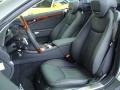  2011 SL 550 Roadster Black Interior