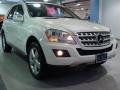 Arctic White - ML 350 4Matic Photo No. 3