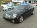 Sable Black - CTS Sedan Photo No. 3