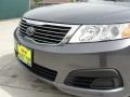 Midnight Gray - Optima LX Photo No. 11