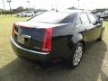 Black Raven - CTS Sedan Photo No. 14