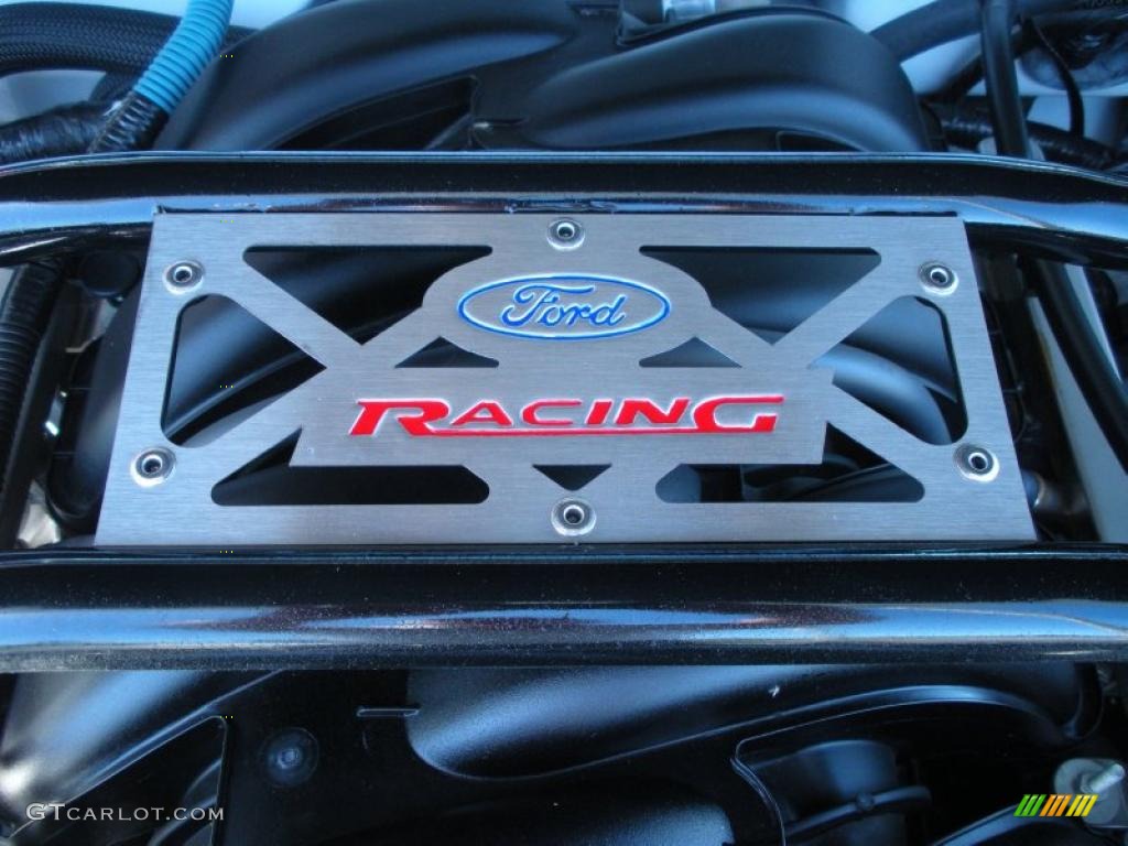 2006 Ford Mustang GT Premium Coupe 4.6 Liter SOHC 24-Valve VVT V8 Engine Photo #46477800