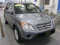 Pewter Pearl - CR-V Special Edition 4WD Photo No. 1