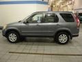 Pewter Pearl - CR-V Special Edition 4WD Photo No. 4