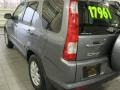 Pewter Pearl - CR-V Special Edition 4WD Photo No. 9