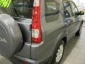 Pewter Pearl - CR-V Special Edition 4WD Photo No. 10
