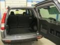 Pewter Pearl - CR-V Special Edition 4WD Photo No. 13