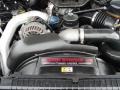 6.0 Liter OHV 32-Valve Power Stroke Turbo Diesel V8 Engine for 2004 Ford F350 Super Duty XL Crew Cab 4x4 #46482171