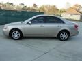 Golden Beige - Sonata LX V6 Photo No. 6