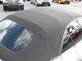 2008 Arctic Silver Metallic Porsche 911 Turbo Cabriolet  photo #30