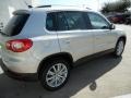 White Gold Metallic - Tiguan Wolfsburg Edition Photo No. 7