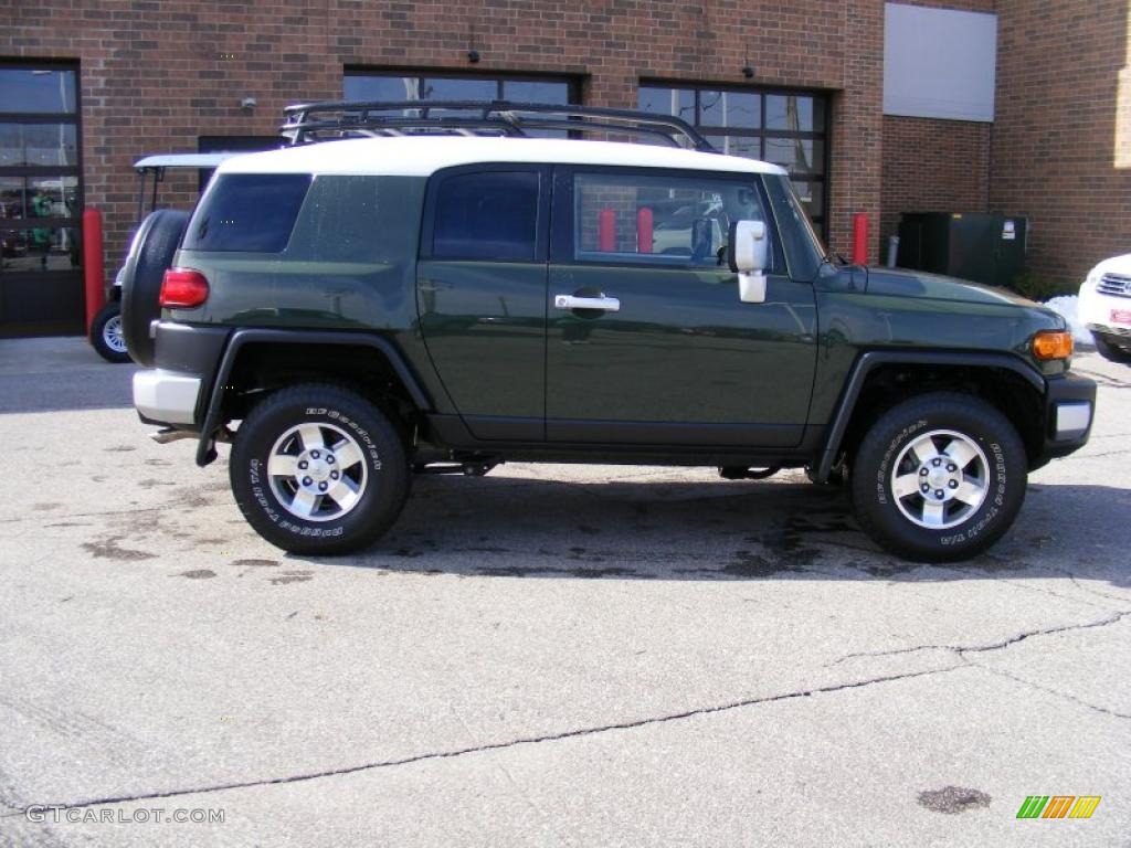 Army Green 2010 Toyota FJ Cruiser 4WD Exterior Photo #46484721