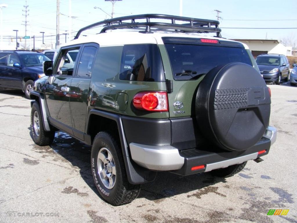 Army Green 2010 Toyota FJ Cruiser 4WD Exterior Photo #46484763