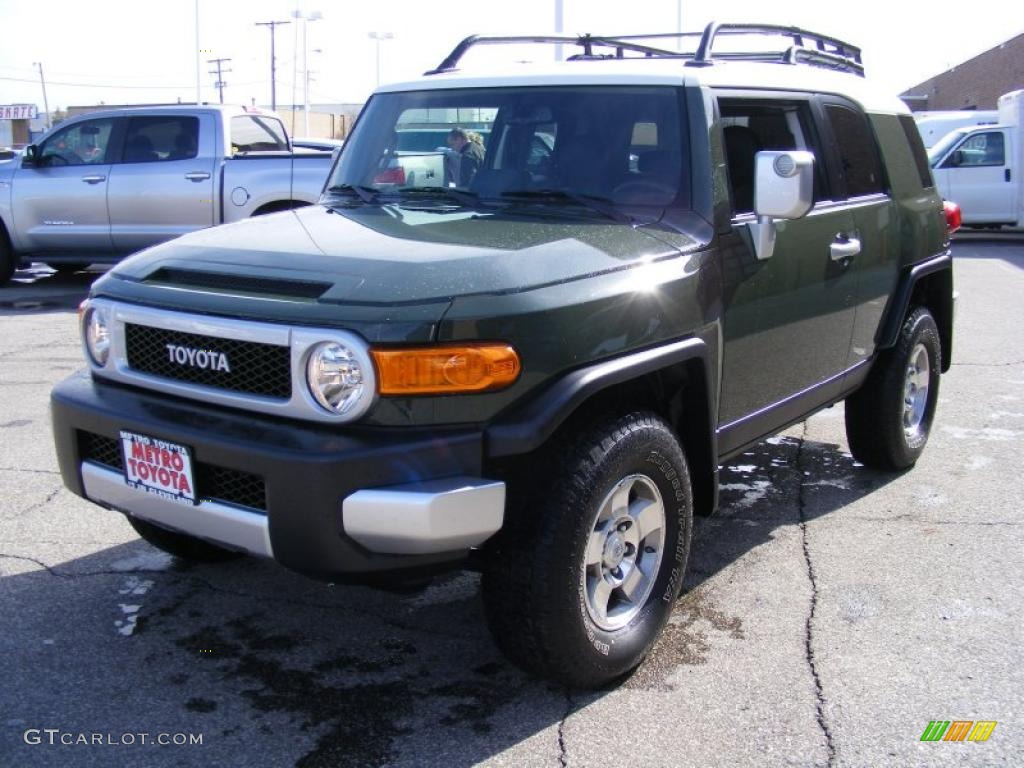 Army Green 2010 Toyota FJ Cruiser 4WD Exterior Photo #46484799