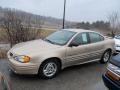 2002 Champagne Beige Metallic Pontiac Grand Am SE Sedan  photo #1