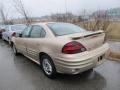 2002 Champagne Beige Metallic Pontiac Grand Am SE Sedan  photo #6