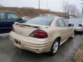 2002 Champagne Beige Metallic Pontiac Grand Am SE Sedan  photo #7