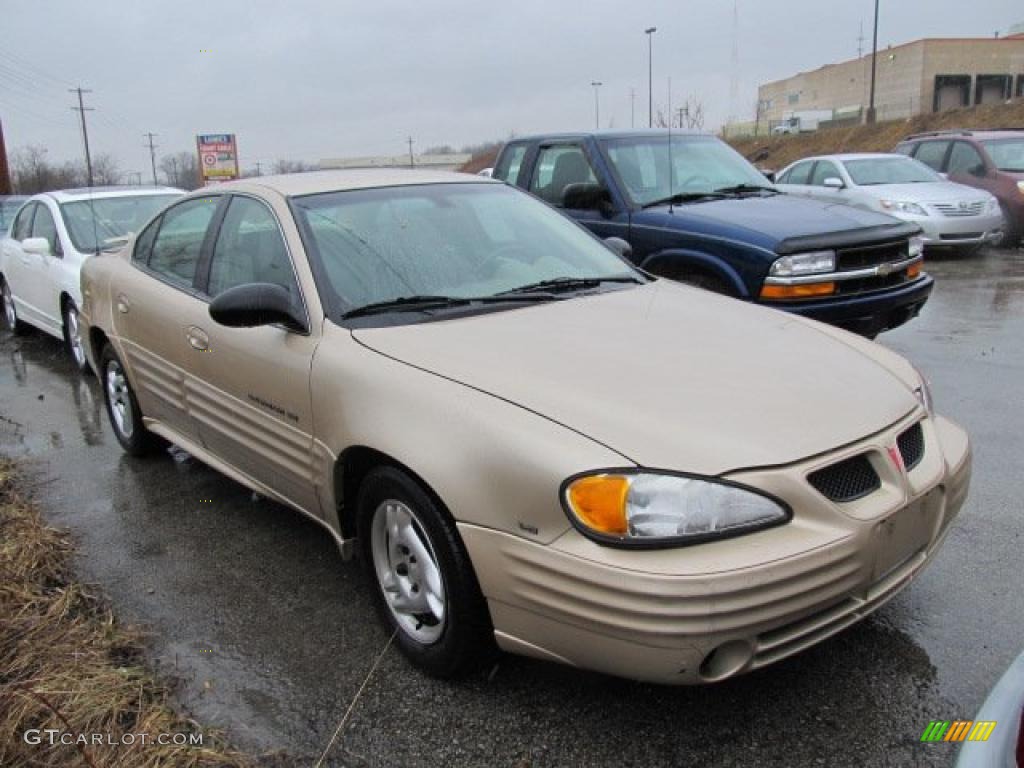 Champagne Beige Metallic 2002 Pontiac Grand Am SE Sedan Exterior Photo #46489947