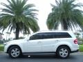 Arctic White - GL 450 4Matic Photo No. 1