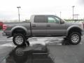 Sterling Grey Metallic 2010 Ford F150 XLT SuperCrew 4x4 Exterior