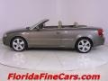 Alpaka Beige Metallic - A4 1.8T Cabriolet Photo No. 3