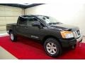 Galaxy Black - Titan SE Crew Cab Photo No. 1