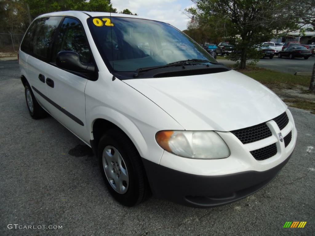 2002 Caravan SE - Stone White / Mist Gray photo #12