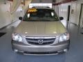 Parchment Gold Metallic - Tribute LX V6 Photo No. 6