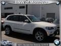 Alpine White - X5 4.8i Photo No. 1
