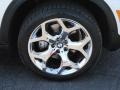 Alpine White - X5 4.8i Photo No. 2