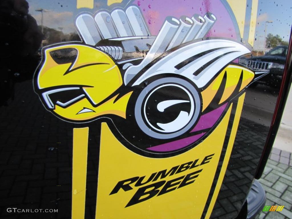 2004 Dodge Ram 1500 SLT Rumble Bee Regular Cab Marks and Logos Photo #46518609