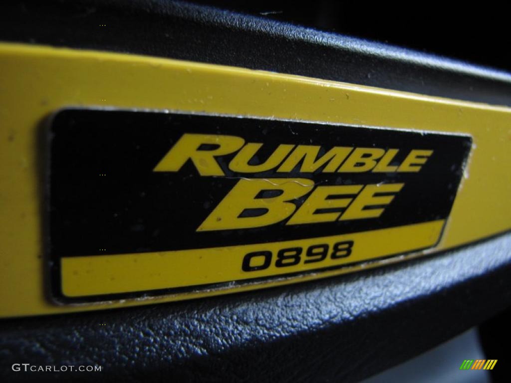 2004 Dodge Ram 1500 SLT Rumble Bee Regular Cab Marks and Logos Photo #46518750