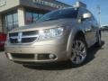 2009 Light Sandstone Metallic Dodge Journey R/T  photo #1