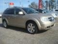 2009 Light Sandstone Metallic Dodge Journey R/T  photo #7