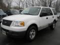 Oxford White 2004 Ford Expedition XLS