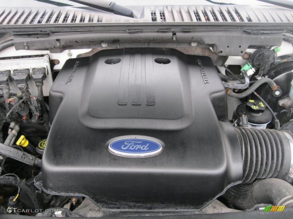 2004 Ford Expedition XLS 4.6 Liter SOHC 16-Valve Triton V8 Engine Photo #46524414