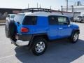2008 Voodoo Blue Toyota FJ Cruiser   photo #4