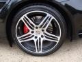 2009 Porsche 911 Turbo Coupe Wheel and Tire Photo