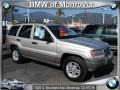 Light Pewter Metallic 2003 Jeep Grand Cherokee Laredo