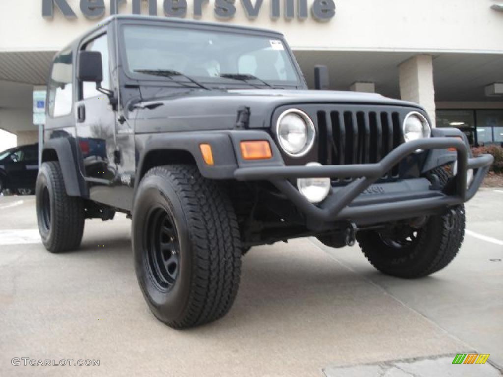 2002 Wrangler X 4x4 - Black / Agate Black photo #1