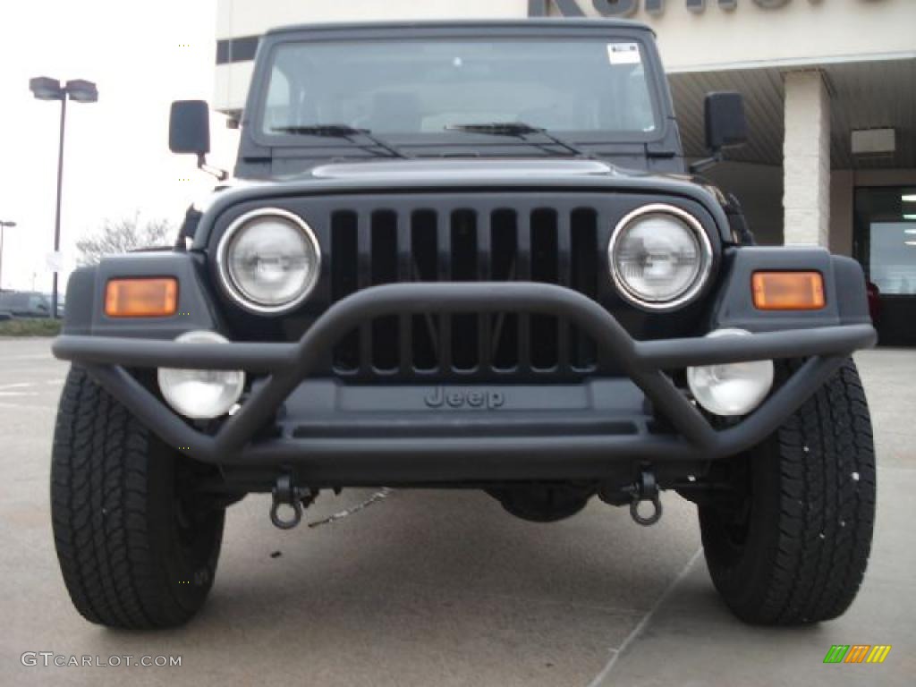 2002 Wrangler X 4x4 - Black / Agate Black photo #8