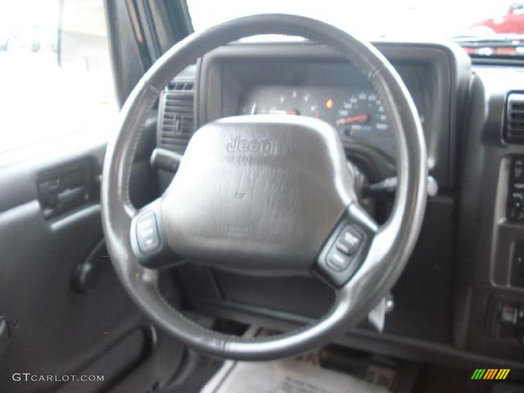 2002 Wrangler X 4x4 - Black / Agate Black photo #21