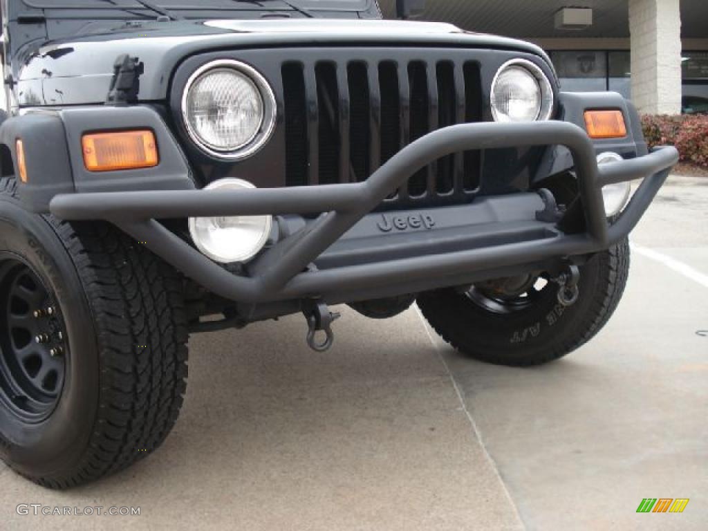 2002 Wrangler X 4x4 - Black / Agate Black photo #30