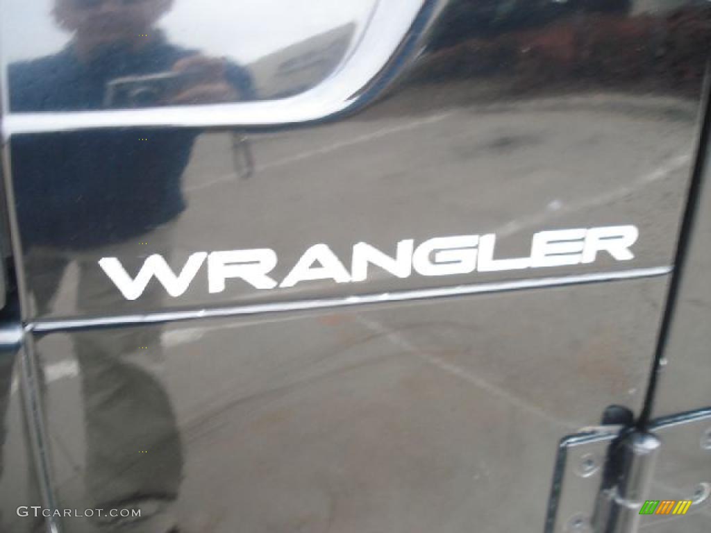 2002 Wrangler X 4x4 - Black / Agate Black photo #31